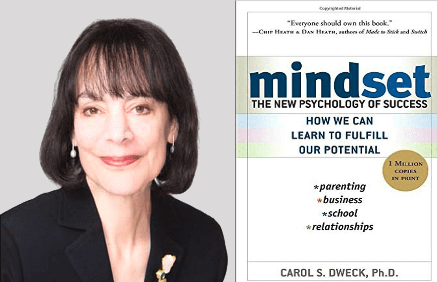 Mindset Carol Dweck - 1 Hour Guide by Anil Nathoo