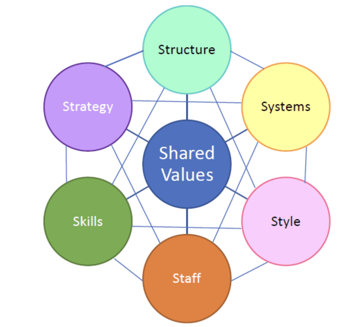 Using the McKinsey 7-S Model for improved performance 19 1 Hour Guide to McKinsey 7S Model by Anil Nathoo
